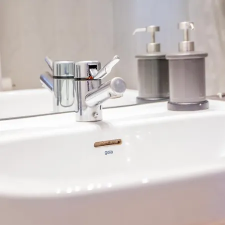 Sunshine * Sierra Nevada